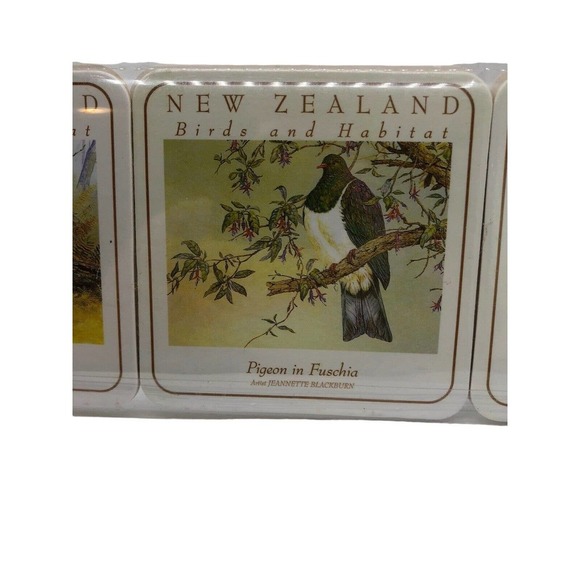 New Zealand Coasters Set NEW 6 Birds and Habitat Coasters Kiwi World - Picture 6 of 12